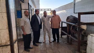 استعدادا لعيد الأضحى.. الخدمات البيطرية تعلن تطوير 8 مجازر في 5 محافظات