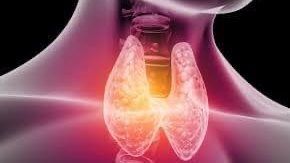 لمرضى الغدة الدرقية .. احرص على تناول هذه الفيتامينات لمرضى الغدة الدرقية .. احرص على تناول هذه الفيتامينات