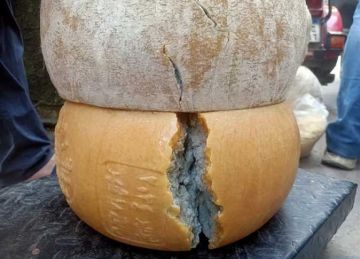 ضبط 13 طن جبنة رومي منتهية الصلاحية بأسواق دمياط ضبط 13 طن جبنة رومي منتهية الصلاحية بأسواق دمياط