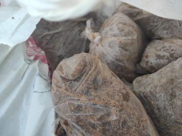 ضبط 3 أطنان أسماك مدخنة ولحوم مجمدة مجهولة المصدر وتحرير 220 محضرا تموينيا بالمنوفية