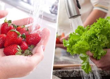 احذري النصائح المتداولة.. إليك الطريقة الصحيحة لغسل الفواكه والخضروات احذري النصائح المتداولة.. إليك الطريقة الصحيحة لغسل الفواكه والخضروات