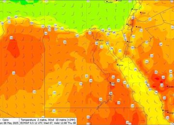 بداية قوية لـ بشنس .. تحذير شديد بشأن حالة الطقس ودرجات الحرارة (تفاصيل)