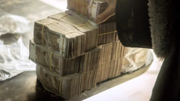 القانون والدولارات.. هل ارتكتب نوال الدجوي مخالفة بحيازة النقد الأجنبي؟