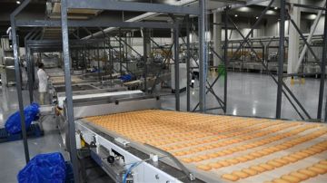 لماذا تقوم القوات المسلحة بإنشاء المزارع ومصانع الأغذية؟.. خبير يوضح