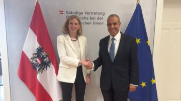 مصر والنمسا تبحثان تعزيز التعاون الثنائي ودعم الشراكة وسط تطورات إقليمية ساخنة