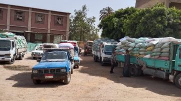 شون وصوامع المنيا تستقبل 390 ألف طن قمح منذ بدء موسم التوريد شون وصوامع المنيا تستقبل 390 ألف طن قمح منذ بدء موسم التوريد