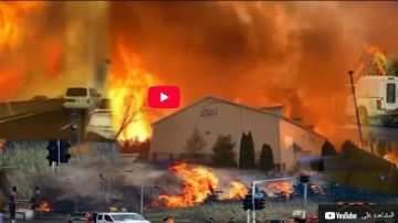 حرائق إسرائيل تثير الذعر داخل تل أبيب.. شاهد بالفيديو