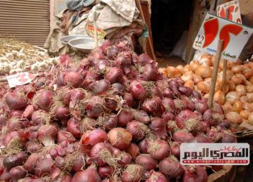 سعر البطاطس والطماطم والليمون والخضروات بالأسواق اليوم الجمعة 16 مايو 2025 سعر البطاطس والطماطم والليمون والخضروات بالأسواق اليوم الجمعة 16 مايو 2025