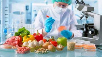 سلامة الغذاء تطبق آلية الإفراج السريع لتقليل زمن الانتظار بالموانئ