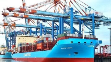 شعبة مستخلصي الجمارك تناقش معوقات الإفراج الجمركي وتوصي بخطة عاجلة للتيسير