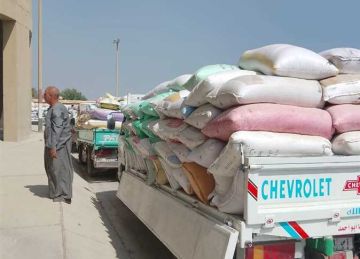 ضبط 50 طن قمح بمخزن غير مرخص في المنوفية.. وتحقيقات لكشف ملابسات الواقعة