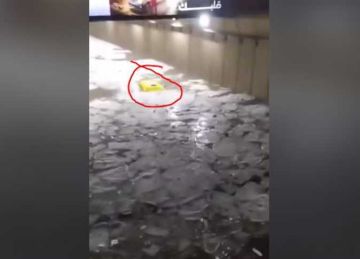  اطلع يا عم يتحرق التوك توك .. فيديو متداول لآثار أمطار وعاصفة الإسكندرية