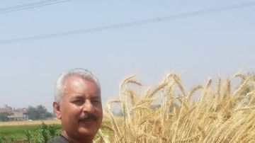 الفلاحين: نتوقع توريد 4 ملايين طن من القمح للحكومة هذا الموسم الفلاحين: نتوقع توريد 4 ملايين طن من القمح للحكومة هذا الموسم