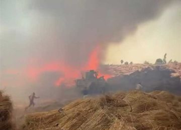 خسائر بالملايين.. حريق هائل في مخزن كتان بالغربية خسائر بالملايين.. حريق هائل في مخزن كتان بالغربية