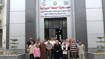 لزيادة إنتاجية الدواجن.. الصحة الحيوانية ينظم دورة تدريبية لصغار المربيين