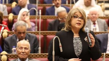 وكيل الشيوخ: التعديلات الانتخابية الجديدة تعزز التمثيل العادل وتدعم الاستقرار