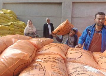 بعد تقليص الدعم على الأسمدة الكيماوية.. هل يتحمل الفلاح ضريبة المواد المسرطنة بأسعار السوق السوداء؟