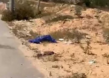 ماذا حدث في مستشفى الشيخ زويد بشأن النفايات الطبية؟ الصحة تحاسب المسؤولين