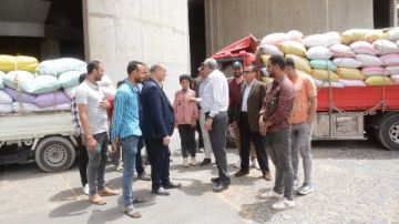 جولة ميدانية مفاجئة.. محافظ الغربية يتفقد مواقع تخزين القمح بطنطا