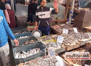 السبيط بـ360 جنيها.. أسعار الأسماك والمأكولات البحرية في سوق العبور اليوم السبت