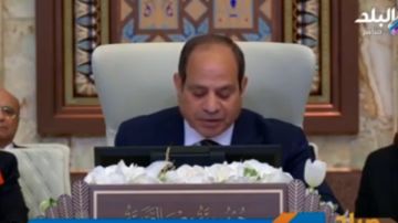 البرديسي: كلمة الرئيس السيسي بقمة بغداد عبرت عن مشكلات العرب حاليا