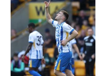 تشكيل برايتون لمواجهة ليفربول في الدوري الإنجليزي