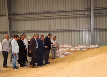 توريد 31 ألف طن قمح منذ بداية الموسم حتى اليوم في دمياط