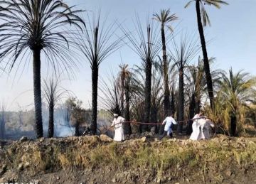 حريق هائل في زراعات نخيل بـ أسوان.. والنيران تمتد إلى عدة منازل