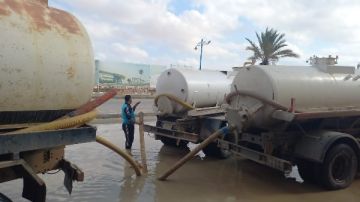 الغربية تحت الأمطار والعواصف .. خطة طوارئ لمواجهة الصقيع والتغيرات المفاجئة صور