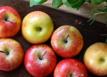 ماذا يحدث لجسمك عند تناول التفاح يوميا؟.. فوائد مذهلة