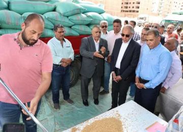  الذهب الأصفر يزين الحقول والصوامع .. حصاد 120 ألف فدان قمح بالمنيا