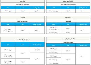 بعد خفض الفائدة 1 .. تفاصيل أعلى عائد على الشهادات المتغيرة بالبنوك المصرية