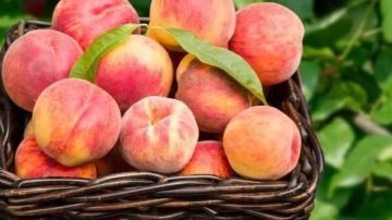 اطمئن .. تناول هذه الفاكهة ينظم ضغط الدم اطمئن .. تناول هذه الفاكهة ينظم ضغط الدم