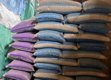 التحفظ على 875 كيلو فول تدميس تالف في مخزن بالقليوبية التحفظ على 875 كيلو فول تدميس تالف في مخزن بالقليوبية