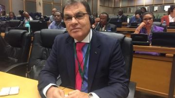 حاتم باشات: مصر لعبت دورا محوريا في دعم جهود بناء المؤسسات القارية