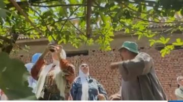 نوايا .. مبادرة مصرية تحيي تراث الطهي من قلب الريف