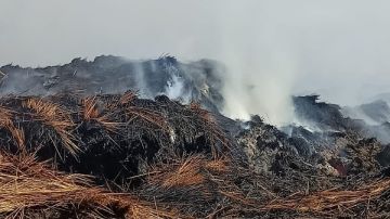 إخماد حريق بمصنع كتان في سمنود.. والدفع بـ 7 سيارات مطافئ إخماد حريق بمصنع كتان في سمنود.. والدفع بـ 7 سيارات مطافئ