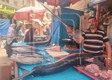 بدء موسم التونة البيضاء بأسواق دمياط.. التجار: ملكة السوق وصلت