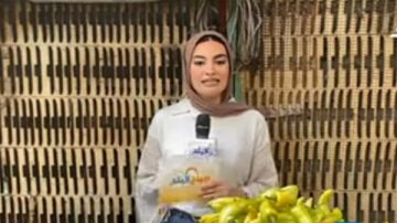 البطاطس والبصل بـ10 جنيهات.. أسعار الخضراوات في الأسواق اليوم