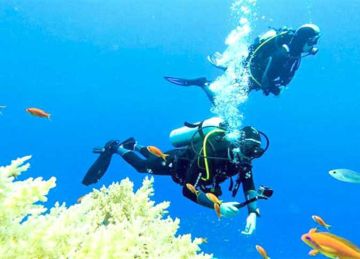 إطلاق تطبيق CDWS ECO Monitoring لرصد ومتابعة الكائنات البحرية بالبحر الأحمر