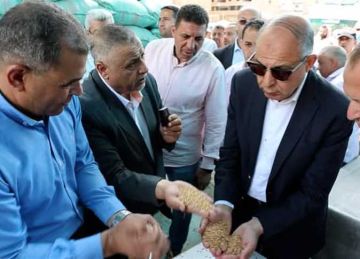 توريد أكثر من 442.9 ألف طن قمح منذ بداية الموسم بالمنيا