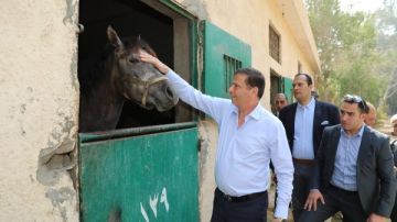 في أسرع وقت.. توجيهات عاجلة من الزراعة لتطوير محطة الزهراء للخيول