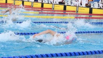 مصر تنافس جنوب إفريقيا للحفاظ على صدارة البطولة الأفريقية للسباحة للشباب