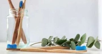 اليوم العالمي الخالى من البلاستيك.. بدائل منزلية تساعد في الحفاظ على البيئة