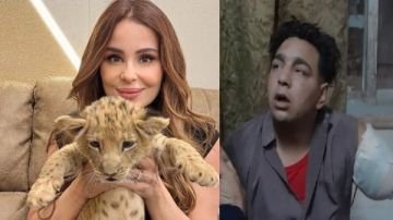 نص تحقيقات أنوسة كوتة في واقعة عامل سيرك طنطا: أنا حذرته قبل كدة وهو مد ايده جوه القفص