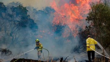 إعلام إسرائيلي: فرنسا تعلن إرسال طائرة للمساعدة في مكافحة الحرائق