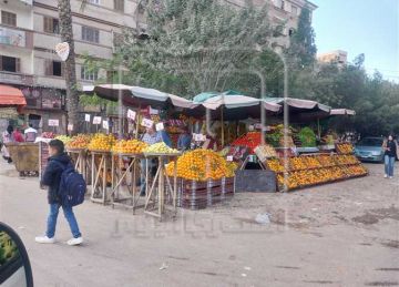 أسعار الفاكهة غدا بأسواق الجملة داخل محافظة دمياط