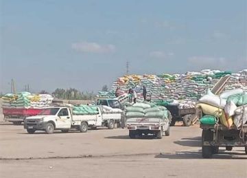 صوامع وشون الشرقية تستقبل 566.9 ألف طن من محصول القمح المورد صوامع وشون الشرقية تستقبل 566.9 ألف طن من محصول القمح المورد