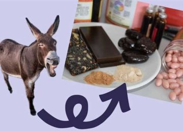 من الريف للمطاعم والأسواق العالمية.. سر اختفاء 2 مليون حمار في مصر (القصة كاملة) من الريف للمطاعم والأسواق العالمية.. سر اختفاء 2 مليون حمار في مصر (القصة كاملة)