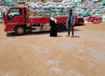 الحصيلة ارتفعت لـ11 ألفا.. صوامع الإسكندرية تستقبل 4 آلاف طن قمح محلي اليوم الحصيلة ارتفعت لـ11 ألفا.. صوامع الإسكندرية تستقبل 4 آلاف طن قمح محلي اليوم
